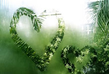 央视CCTV5今天直播什么？最新赛事与节目安排全解析